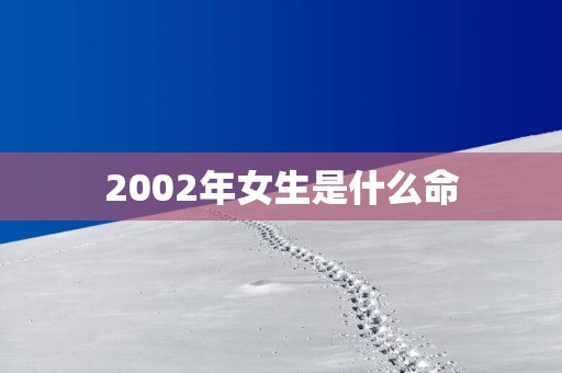 2002年女生是什么命