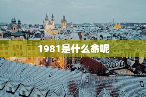 1981是什么命呢