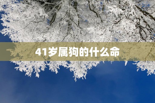 41岁属狗的什么命