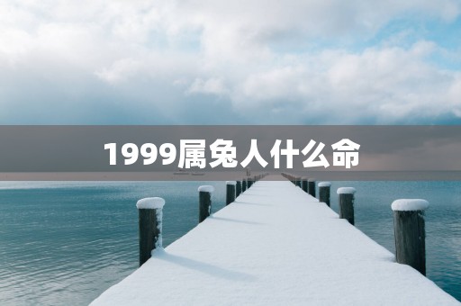1999属兔人什么命