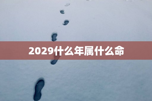 2029什么年属什么命