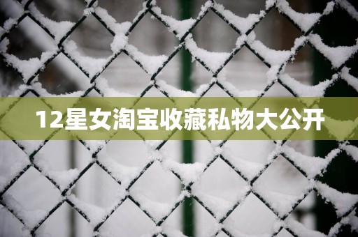12星女淘宝收藏私物大公开