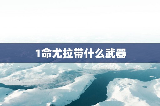 1命尤拉带什么武器