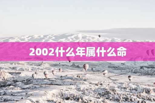 2002什么年属什么命