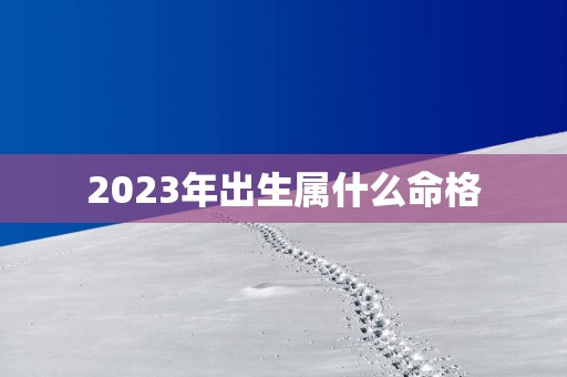 2025年出生属什么命格