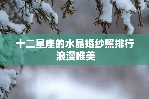十二星座的水晶婚纱照排行 浪漫唯美