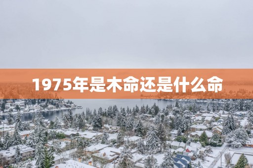 1975年是木命还是什么命
