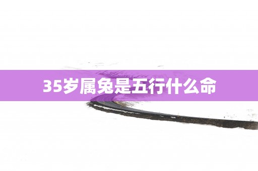 35岁属兔是五行什么命