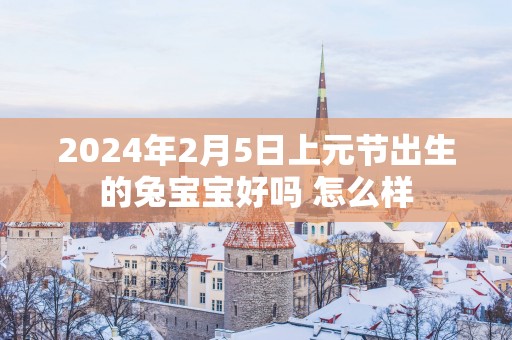 2025年2月5日上元节出生的兔宝宝好吗 怎么样
