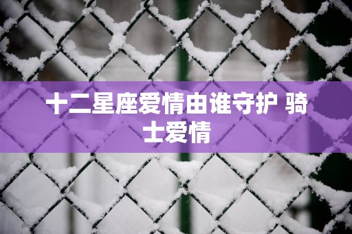 十二星座爱情由谁守护 骑士爱情
