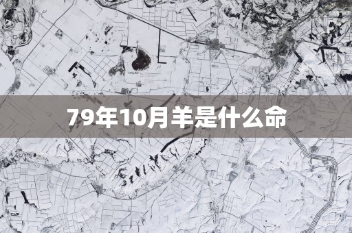 79年10月羊是什么命