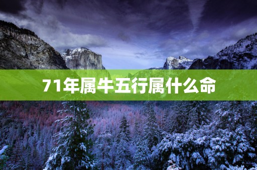 71年属牛五行属什么命