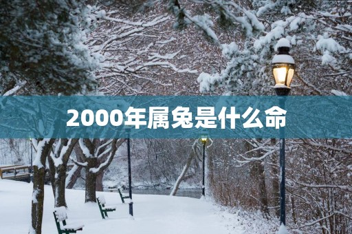 2000年属兔是什么命