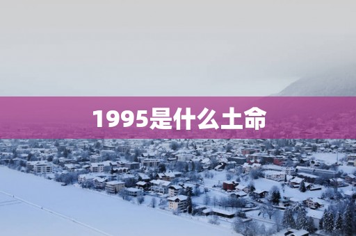 1995是什么土命