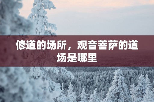 修道的场所，观音菩萨的道场是哪里