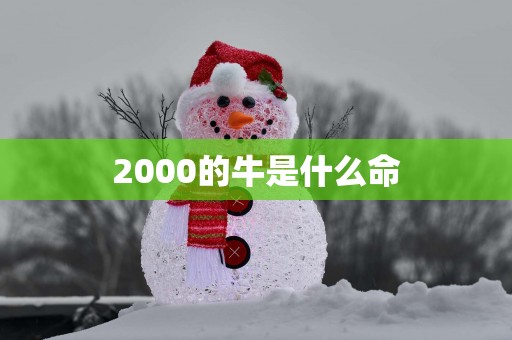 2000的牛是什么命