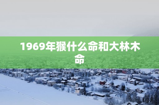 1969年猴什么命和大林木命