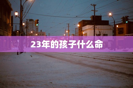 23年的孩子什么命
