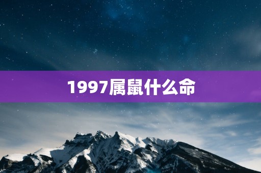 1997属鼠什么命