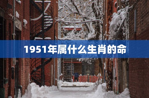 1951年属什么生肖的命