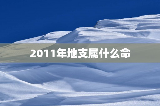 2011年地支属什么命