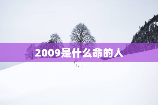 2009是什么命的人