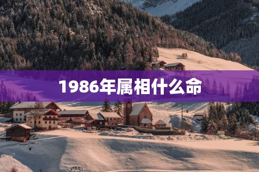 1986年属相什么命