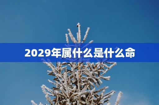 2029年属什么是什么命