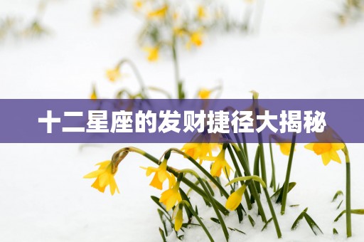 十二星座的发财捷径大揭秘
