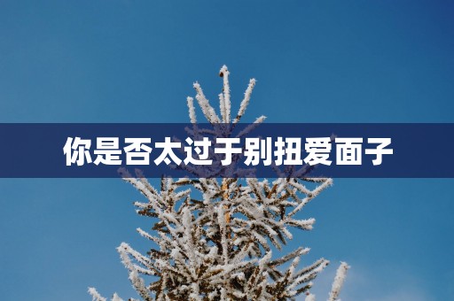 你是否太过于别扭爱面子
