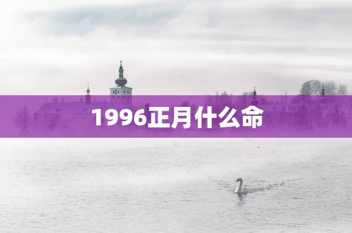 1996正月什么命