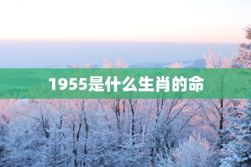 1955是什么生肖的命