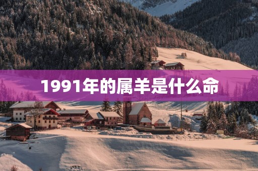 1991年的属羊是什么命