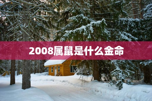 2008属鼠是什么金命