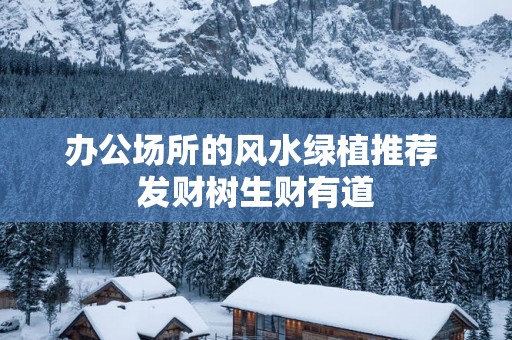 办公场所的风水绿植推荐 发财树生财有道