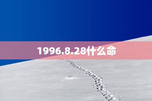 1996.8.28什么命