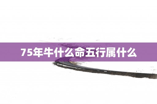 75年牛什么命五行属什么
