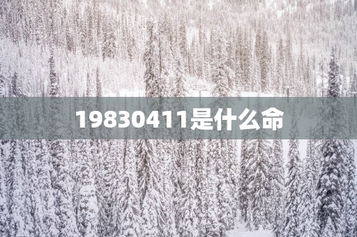 19830411是什么命