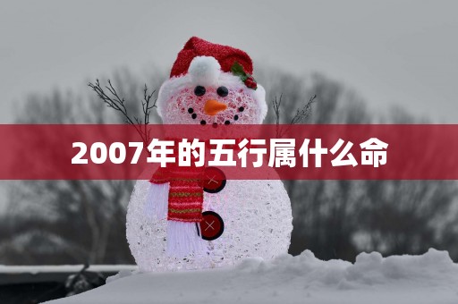 2007年的五行属什么命 2007年的五行属什么命