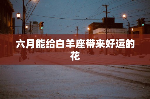 六月能给白羊座带来好运的花