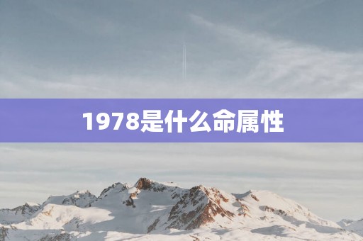 1978是什么命属性