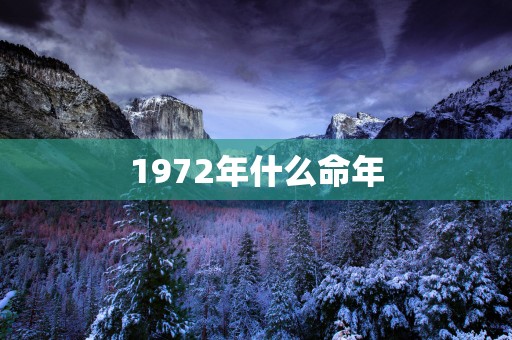 1972年什么命年