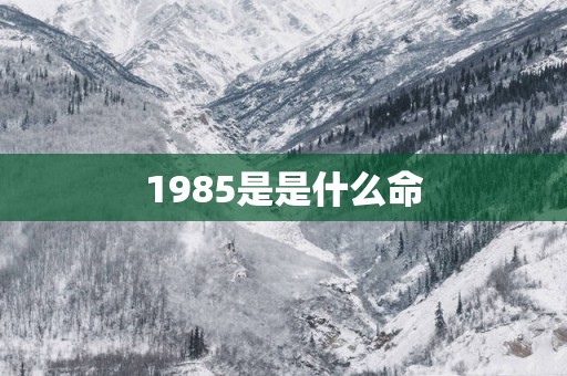 1985是是什么命