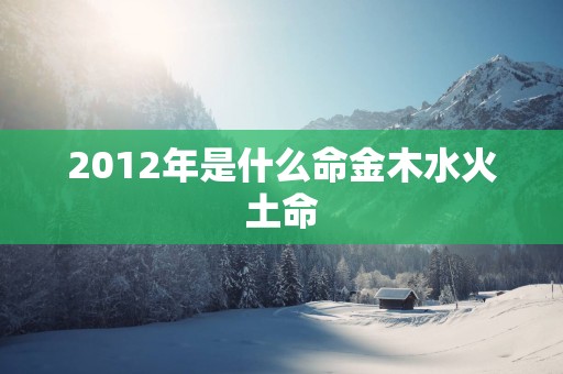 2012年是什么命金木水火土命 2012年是什么命金木水火土命