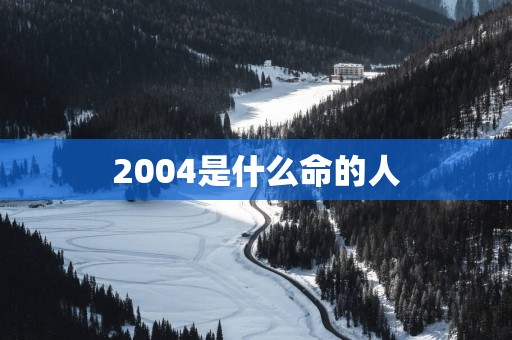 2004是什么命的人