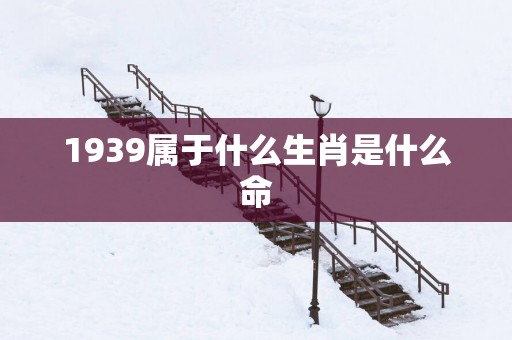 1939属于什么生肖是什么命