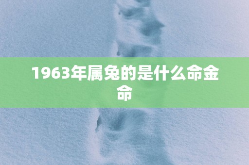 1963年属兔的是什么命金命