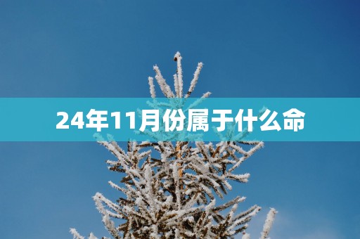 24年11月份属于什么命