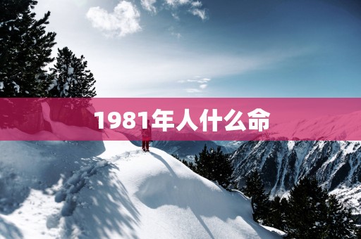 1981年人什么命