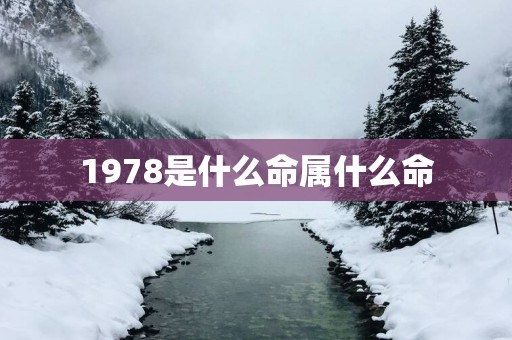1978是什么命属什么命